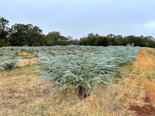 Farm «Oak Hill Farm», reviews and photos, 15101 CA-12, Glen Ellen, CA 95442, USA