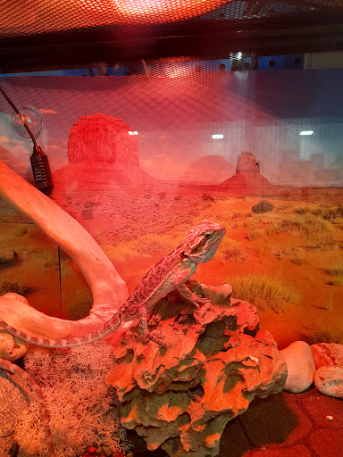 Pet Supply Store «PetSmart», reviews and photos, 1116 S Rochester Rd, Rochester Hills, MI 48307, USA