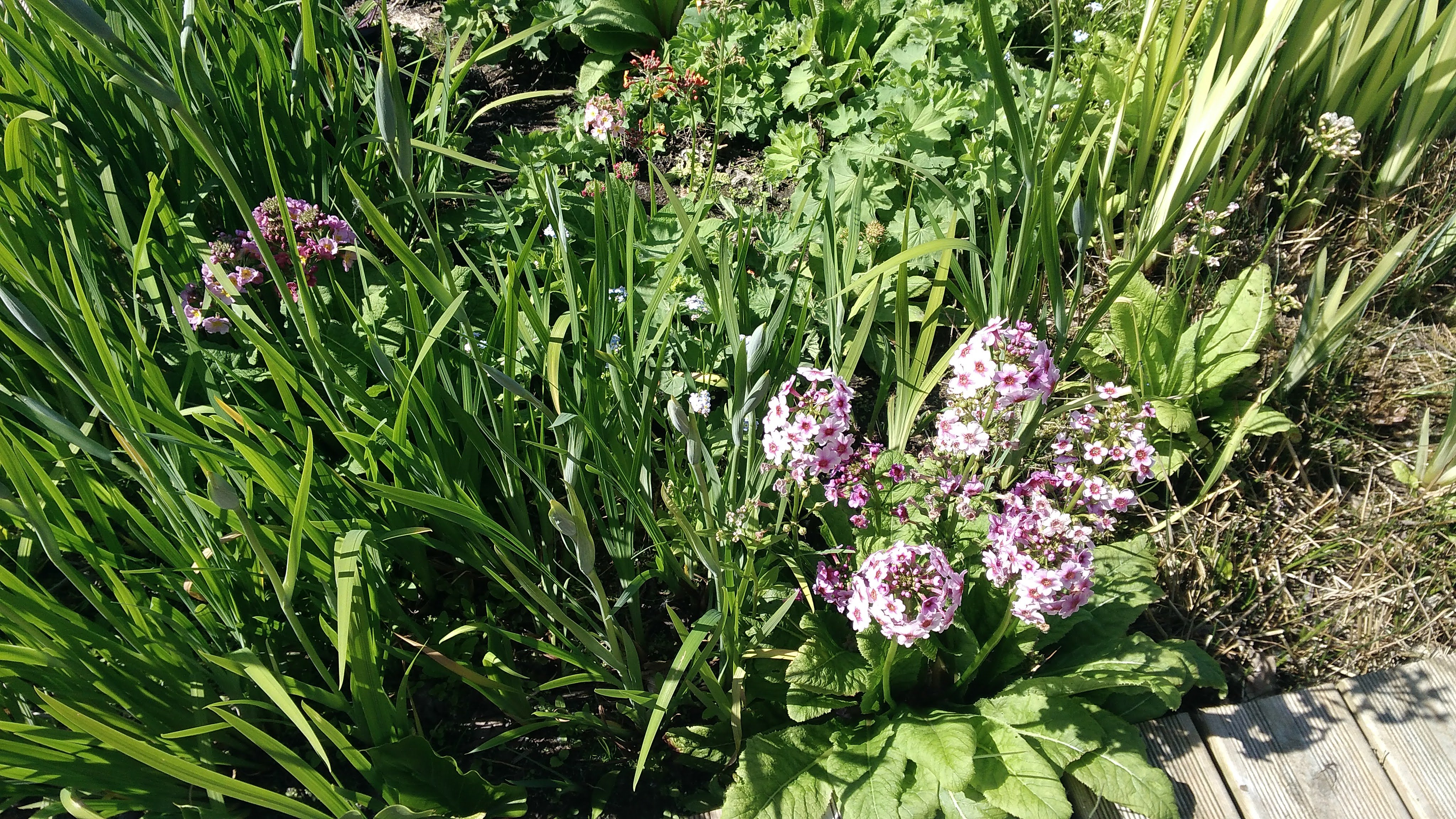 Photo n° 9 de l'avis de Dominique.r fait le 03/06/2018 à 17:34