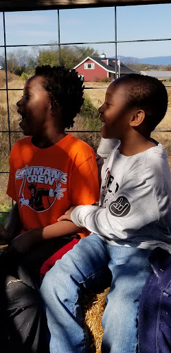 Pumpkin Patch «Liberty Mills Farm», reviews and photos, 9166 Liberty Mills Rd, Somerset, VA 22972, USA