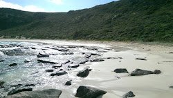 Zdjęcie Contos Beach położony w naturalnym obszarze