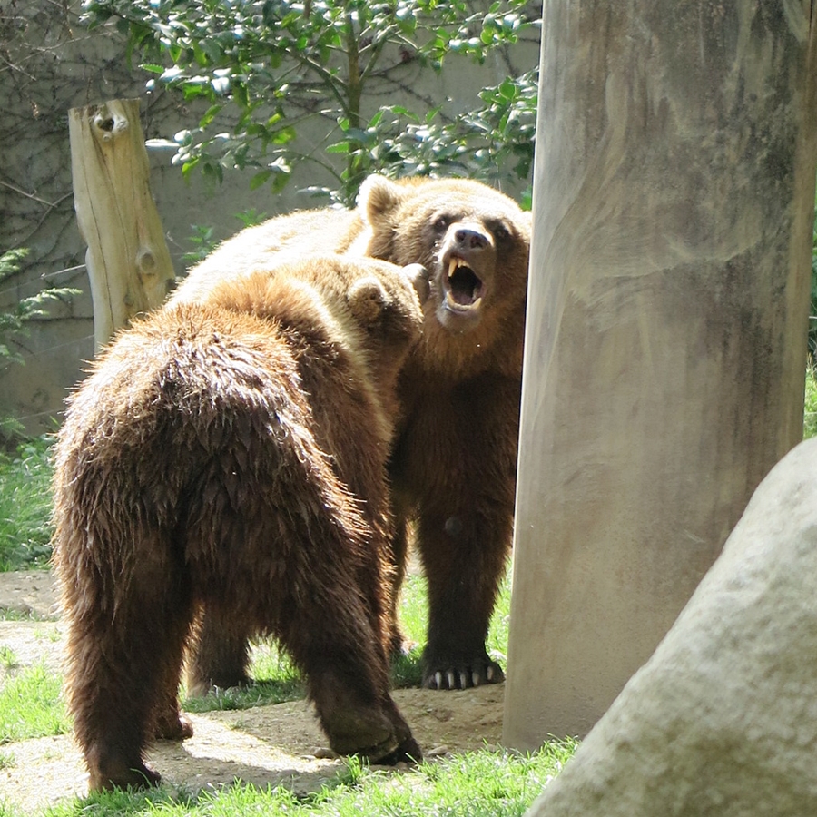 Photo n° 6 de l'avis de JooHee.A fait le 23/08/2018 à 13:16