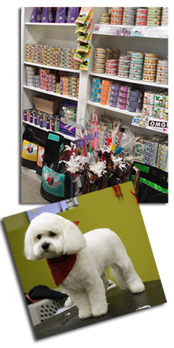 Pet Supply Store «Dog Day Afternoon», reviews and photos, 2527 Frank Scott Pkwy W, Belleville, IL 62223, USA