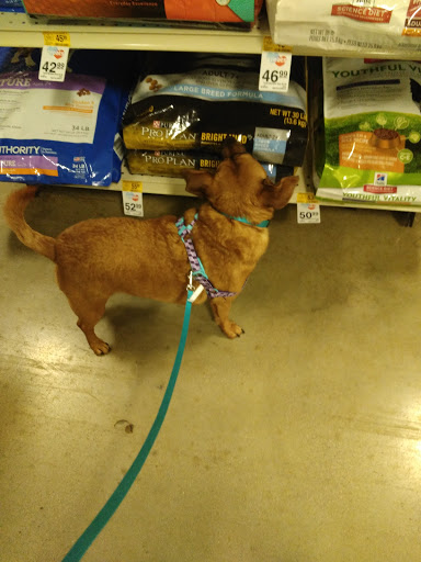 Pet Supply Store «PetSmart», reviews and photos, 533 S Tracy St, Wichita, KS 67209, USA