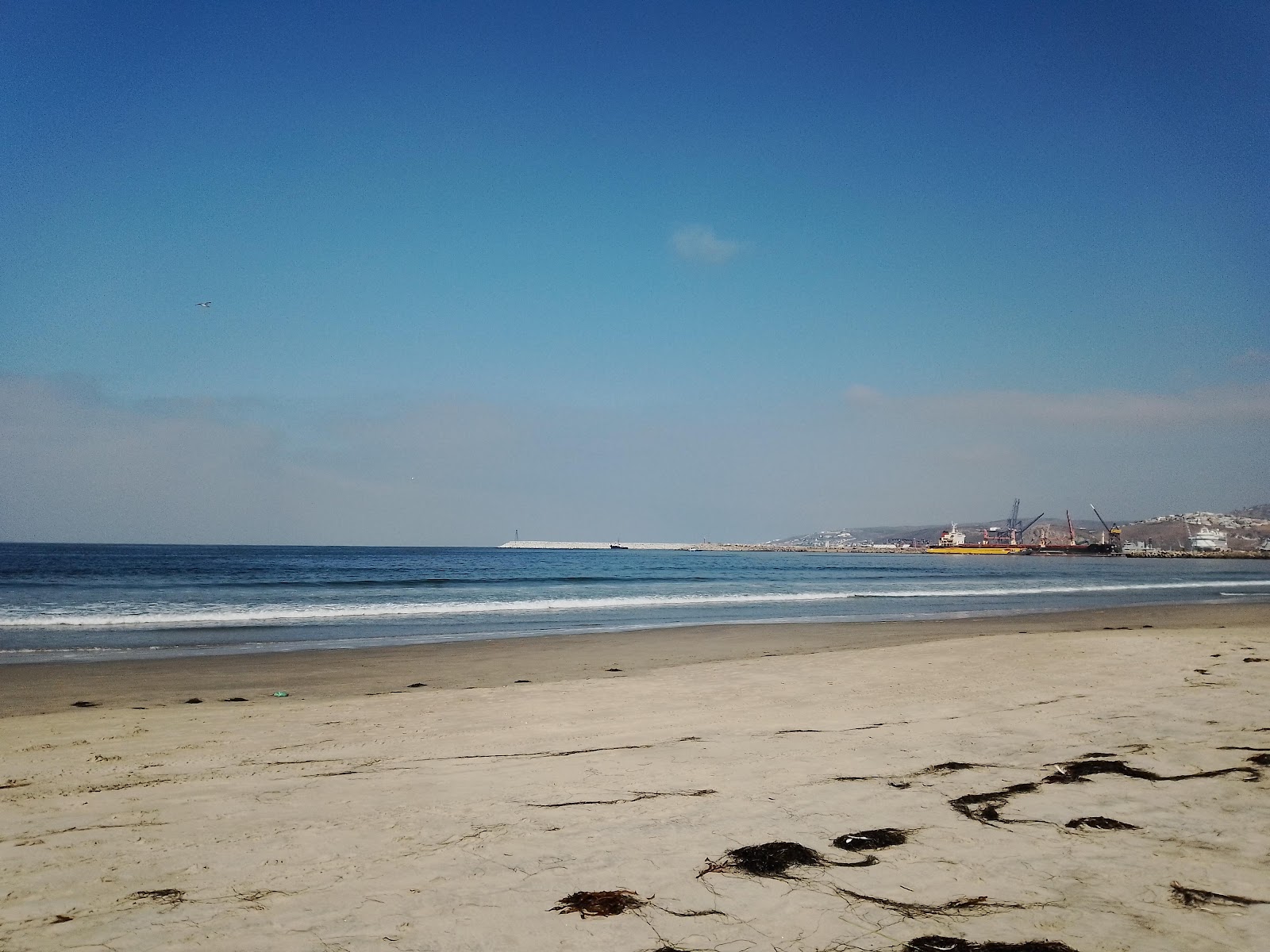 Playa Todos Santos'in fotoğrafı ve yerleşim