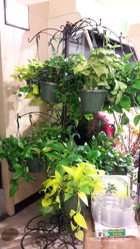 Grocery Store «Food Lion», reviews and photos, 980 Kildaire Farm Rd, Cary, NC 27511, USA