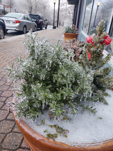 Used Book Store «Fenwick Street Used Books & Music», reviews and photos, 41655 Fenwick St, Leonardtown, MD 20650, USA