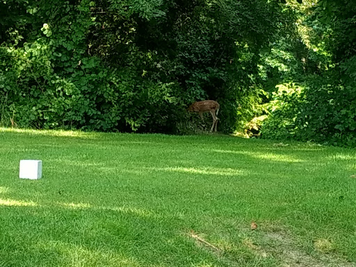 Golf Course «Copper Hills Golf Club», reviews and photos, 2125 Lakeville Rd, Oxford, MI 48370, USA