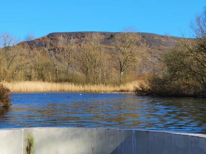 Photo n° 2 de l'avis de DELBARRE.R fait le 28/02/2022 à 15:53