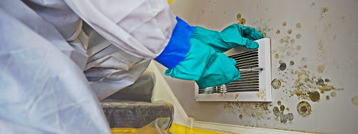 Water Damage Restoration Service «FreshStart Restoration», reviews and photos