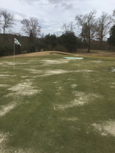 Golf Club «Indian River Golf Club», reviews and photos, 200 Indian River Dr, West Columbia, SC 29170, USA