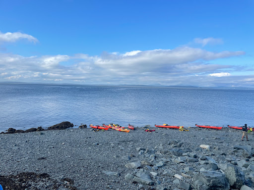 Tourist Information Center «Coastal Kayaking Tours Inc», reviews and photos, 48 Cottage St, Bar Harbor, ME 04609, USA