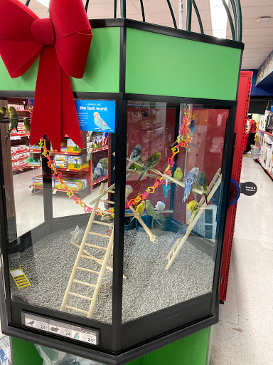 Pet Supply Store «Petco Animal Supplies», reviews and photos, 444 N Santa Cruz Ave, Los Gatos, CA 95030, USA