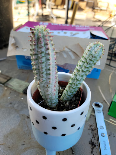 Hardware Store «Do it Center», reviews and photos, 3775 Thousand Oaks Blvd, Westlake Village, CA 91362, USA