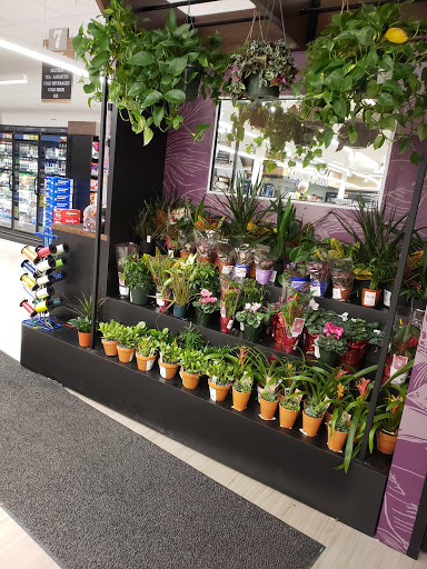 Supermarket «Key Food», reviews and photos, 35 Pleasantville Rd, Pleasantville, NY 10570, USA