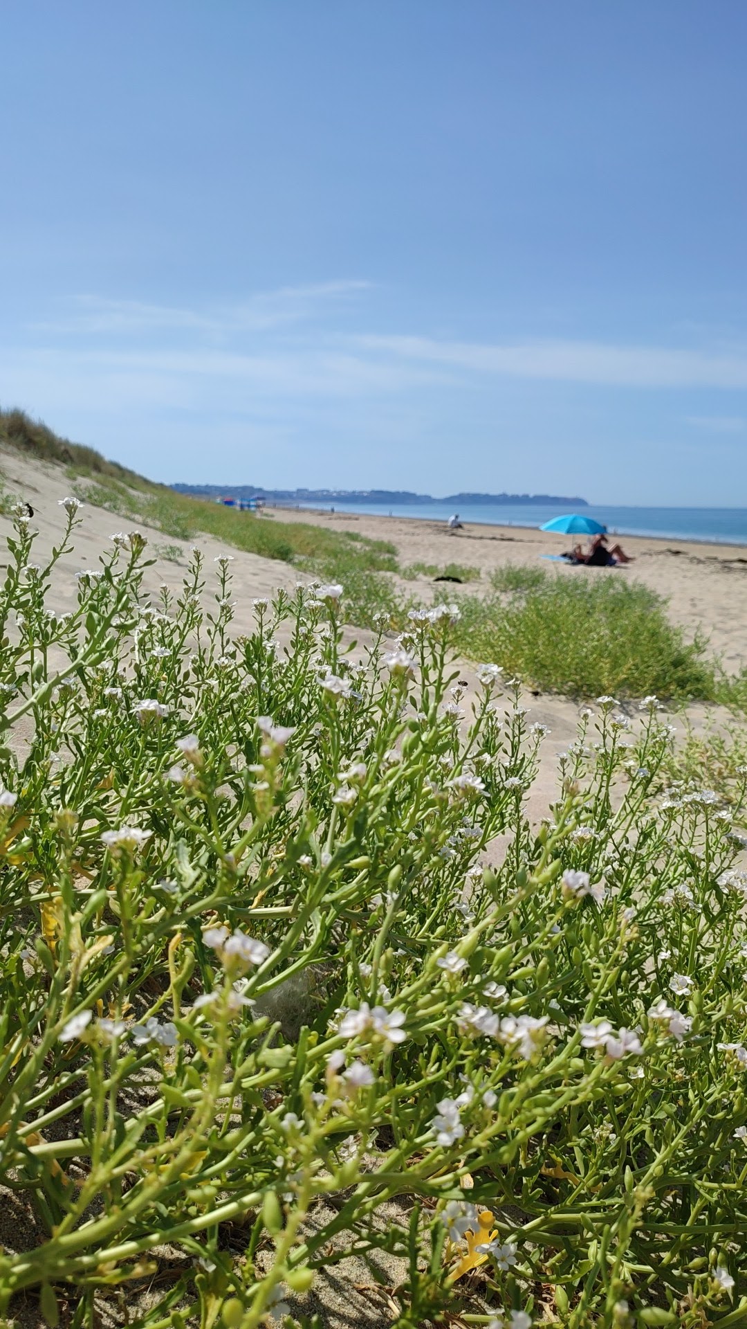 Photo n° 10 de l'avis de Bruno.l fait le 13/08/2022 à 16:51
