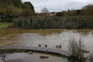 Three Brooks Local Nature Reserve image