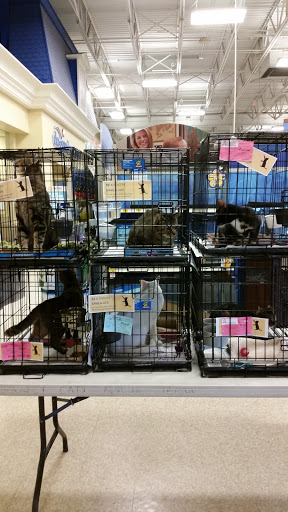 Pet Supply Store «PetSmart», reviews and photos, 12971 Fair Lakes Pkwy, Fairfax, VA 22033, USA