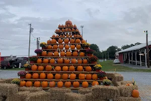 South Jersey Pumpkin Show image