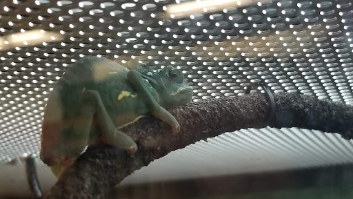 Pet Supply Store «Petco Animal Supplies», reviews and photos, 181 North 545 West, West Bountiful, UT 84087, USA