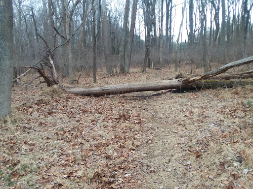 Park «Pilgrim Hill Local Park», reviews and photos, 1615 E Randolph Rd, Silver Spring, MD 20904, USA