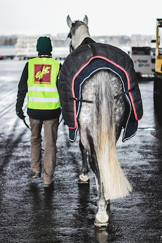European Horse Services - Brugge