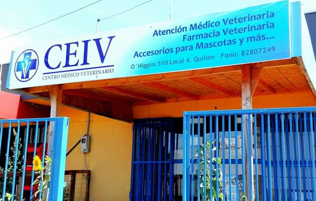 Opiniones de CEIV Centro Veterinario en Quillón - Médico