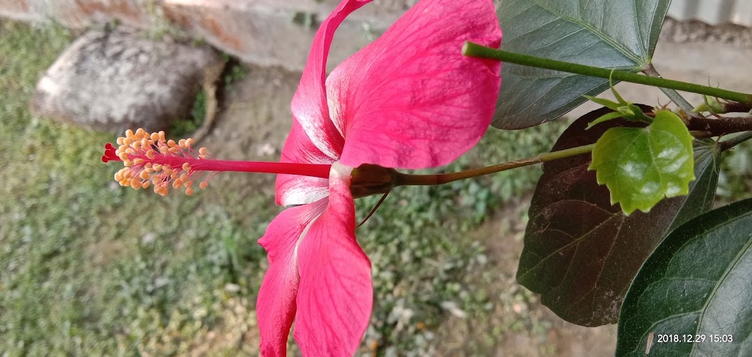 জল টেঙ্কী