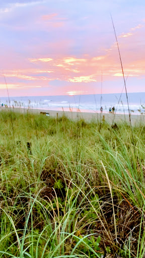 State Park «Myrtle Beach State Park», reviews and photos, 4401 S Kings Hwy, Myrtle Beach, SC 29575, USA