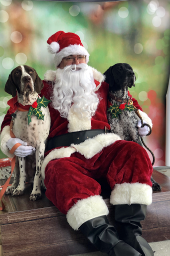 Pet Store «Bark Life Market», reviews and photos, 11220 Park Blvd N, Seminole, FL 33772, USA