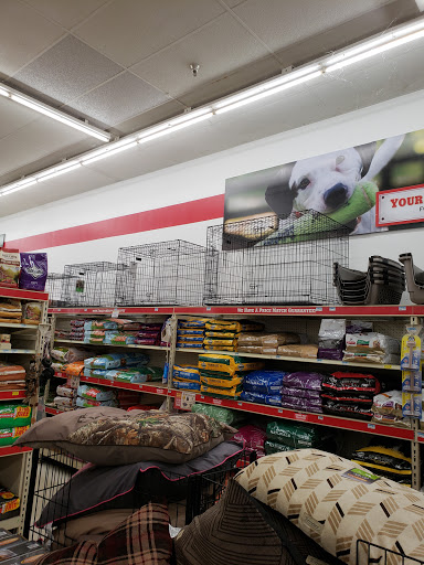 Home Improvement Store «Tractor Supply Co.», reviews and photos, 35874 US-27, Haines City, FL 33844, USA