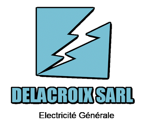 Numero de telephone 0633482820 - Électricien Delacroix SARL à Saintry-sur-Seine