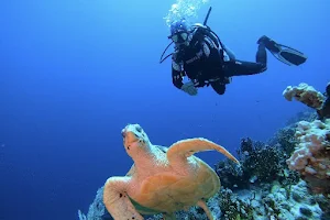 Hurghadivers | Hurghada best diving center in Red Sea - PADI image