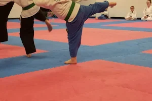 Aiken Taekwondo Academy image