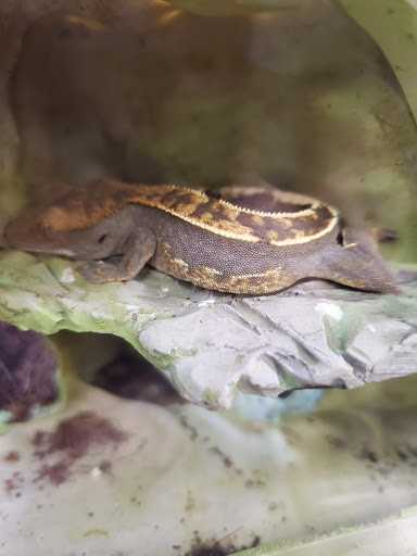 Pet Supply Store «Petco Animal Supplies», reviews and photos, 1419 Towne Square Blvd NW, Roanoke, VA 24019, USA