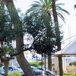 Photo n°33 de l'avis de Maria.n fait le 24/09/2020 à 22:20 sur le  Grand Hotel Palace à Marsala