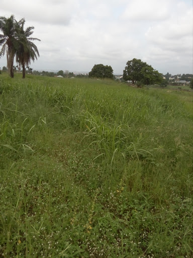 River Benue Bank, Makurdi, Makurdi - Jos Rd, Makurdi, Nigeria, Museum, state Benue