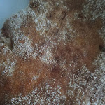 Photo n°1 de l'avis de Carlos.s fait le 11/06/2021 à 11:17 sur le  Telepizza Baixa da Banheira à Baixa da Banheira