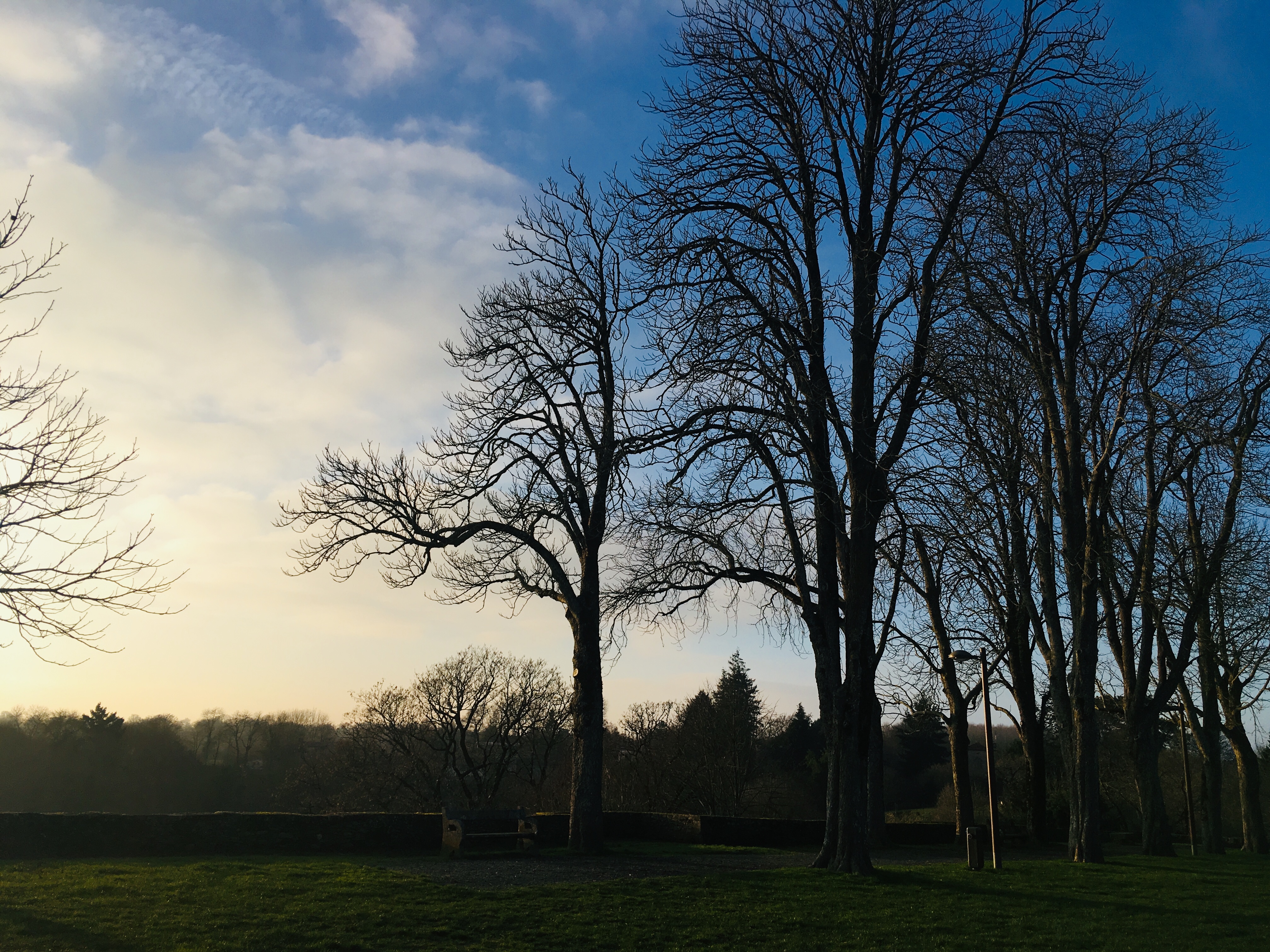 Photo n° 1 de l'avis de Megan.t fait le 15/01/2019 à 02:21