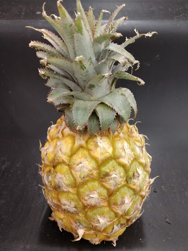 Grocery Store «Albertsons», reviews and photos, 4700 N Eagle Rd, Boise, ID 83713, USA