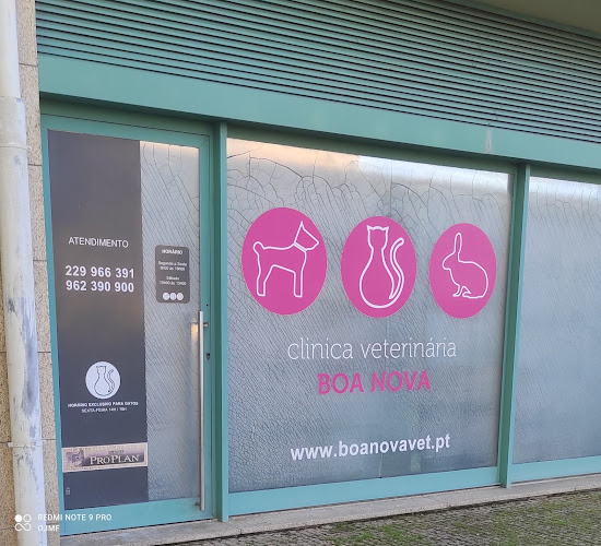 Avaliações doClinica Veterinaria Boa Nova, Lda. em Matosinhos - Veterinário