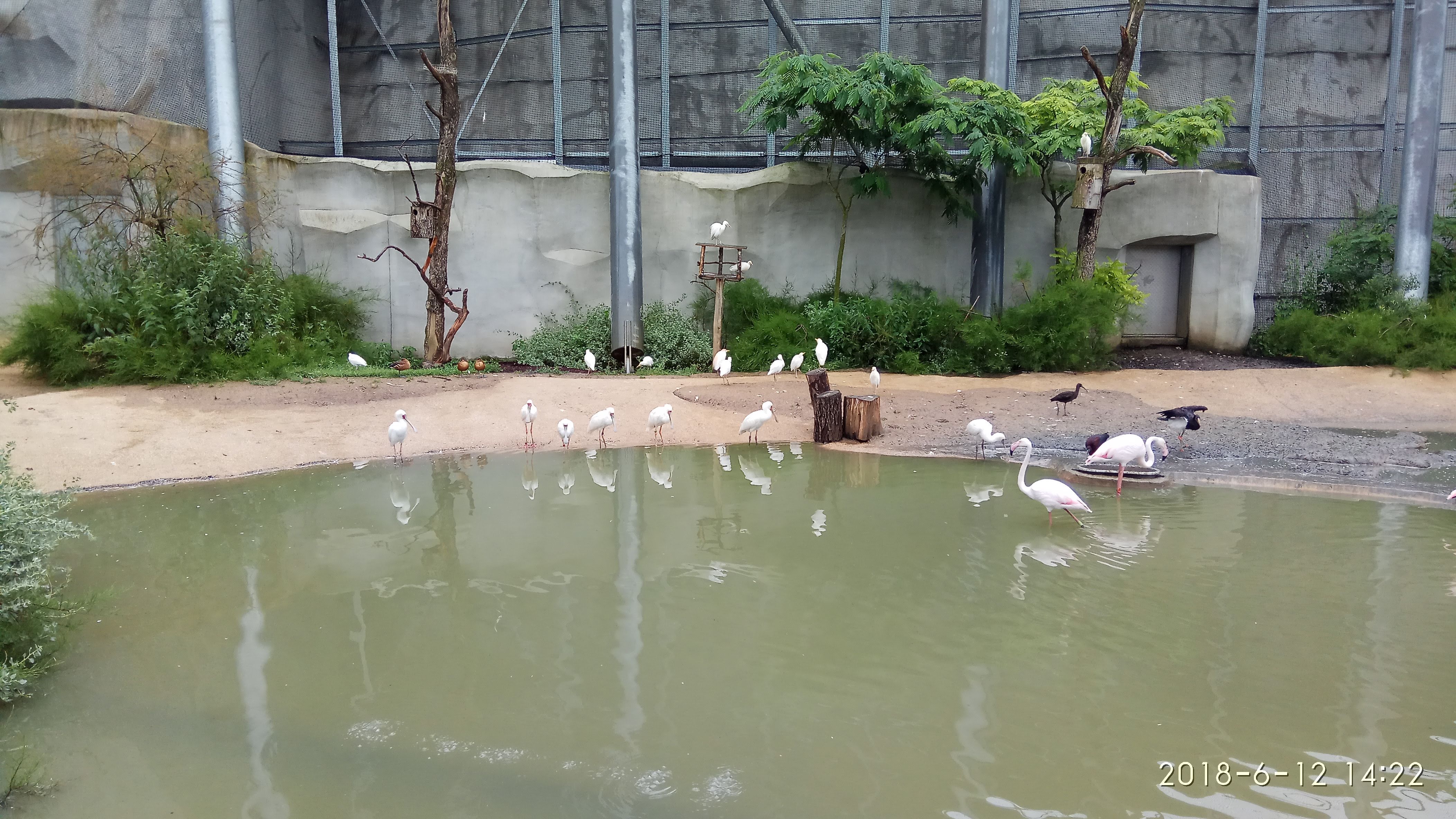 Photo n° 9 de l'avis de Swiss.e fait le 15/06/2018 à 19:24