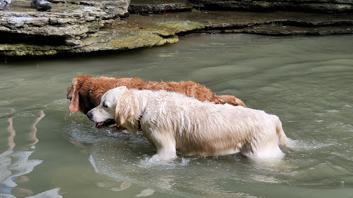 Park «Keehner park», reviews and photos, 7411 Barret Rd, West Chester Township, OH 45069, USA