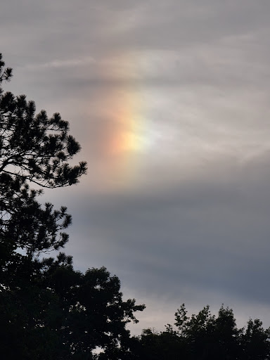 Park «East Palestine City Park», reviews and photos