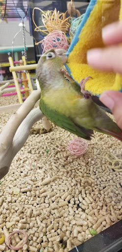 Pet Supply Store «PetSmart», reviews and photos, 8281 Troy Pike, Huber Heights, OH 45424, USA