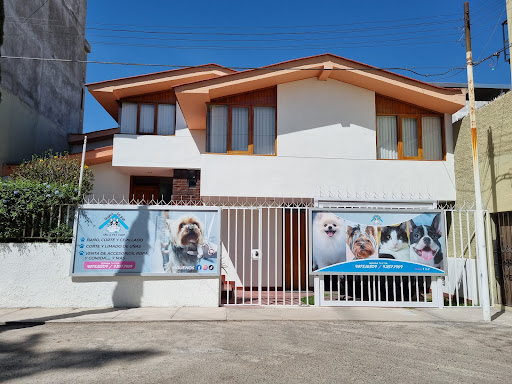 Guauderia Spa & PetShop