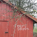 Photo n°3 de l'avis de Chris.e fait le 23/03/2023 à 14:50 sur le  mein kleinHOTEL Rabenstein à Steinau an der Straße