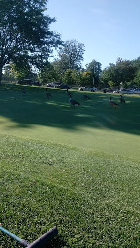 Golf Club «Marquette Park Golf Course», reviews and photos, 6700 S Kedzie Ave, Chicago, IL 60629, USA