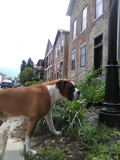 Coffee Shop «Penny Lane Coffeehouse», reviews and photos, 600 SE 2nd St, Evansville, IN 47713, USA