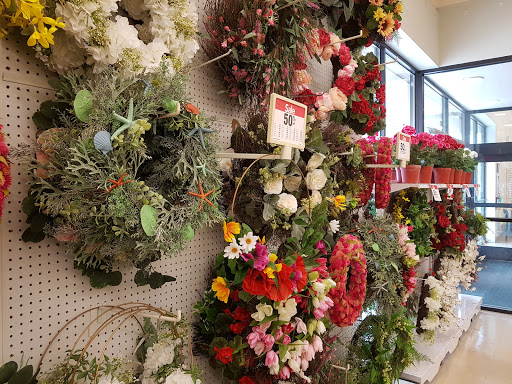 Fabric Store «Jo-Ann Fabrics and Crafts», reviews and photos, 2930 Preston Rd Ste 800, Frisco, TX 75034, USA